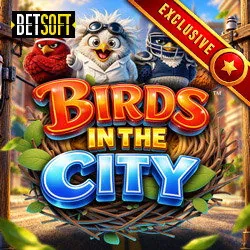 Birds in The City